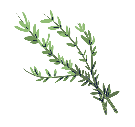 Rosemary